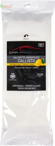 Immagine di PANNI CALLISTO INTERNO AUTO 22X28 CM 20 VELI